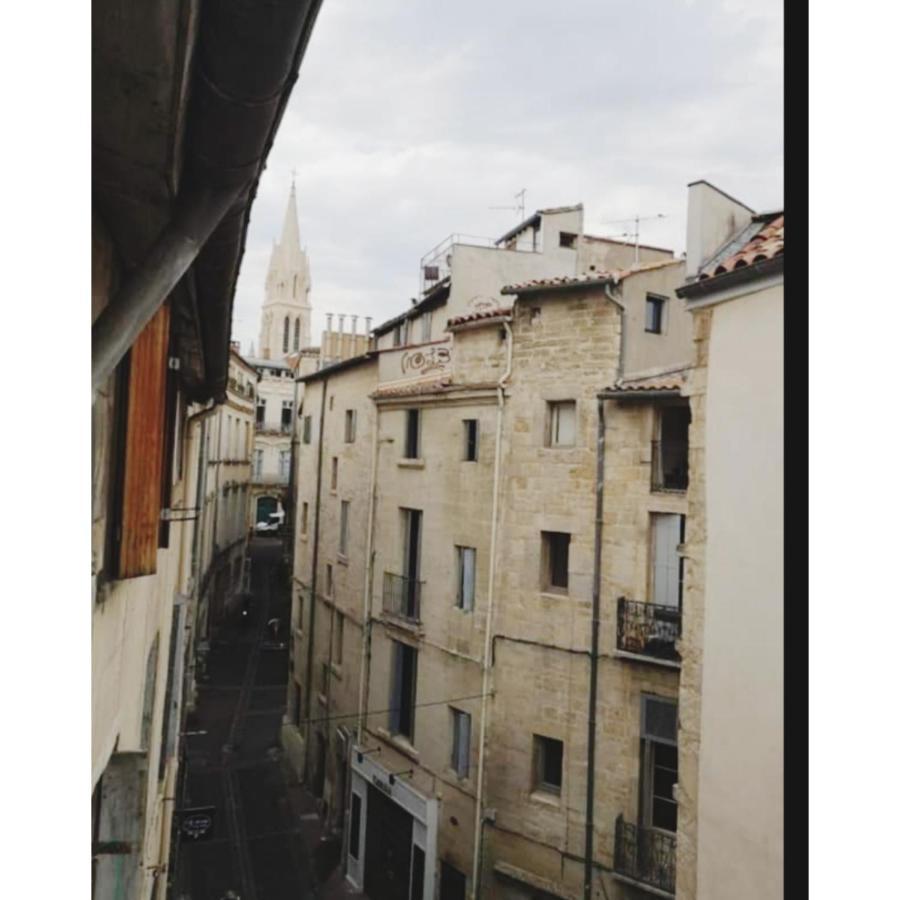 Appartement Cosy Au Coeur De Montpellier Luaran gambar